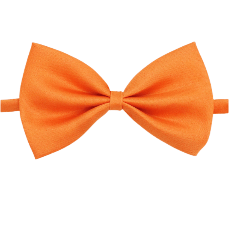 Nœud Papillon pour Chien et Chat – Classe en toutes occasions