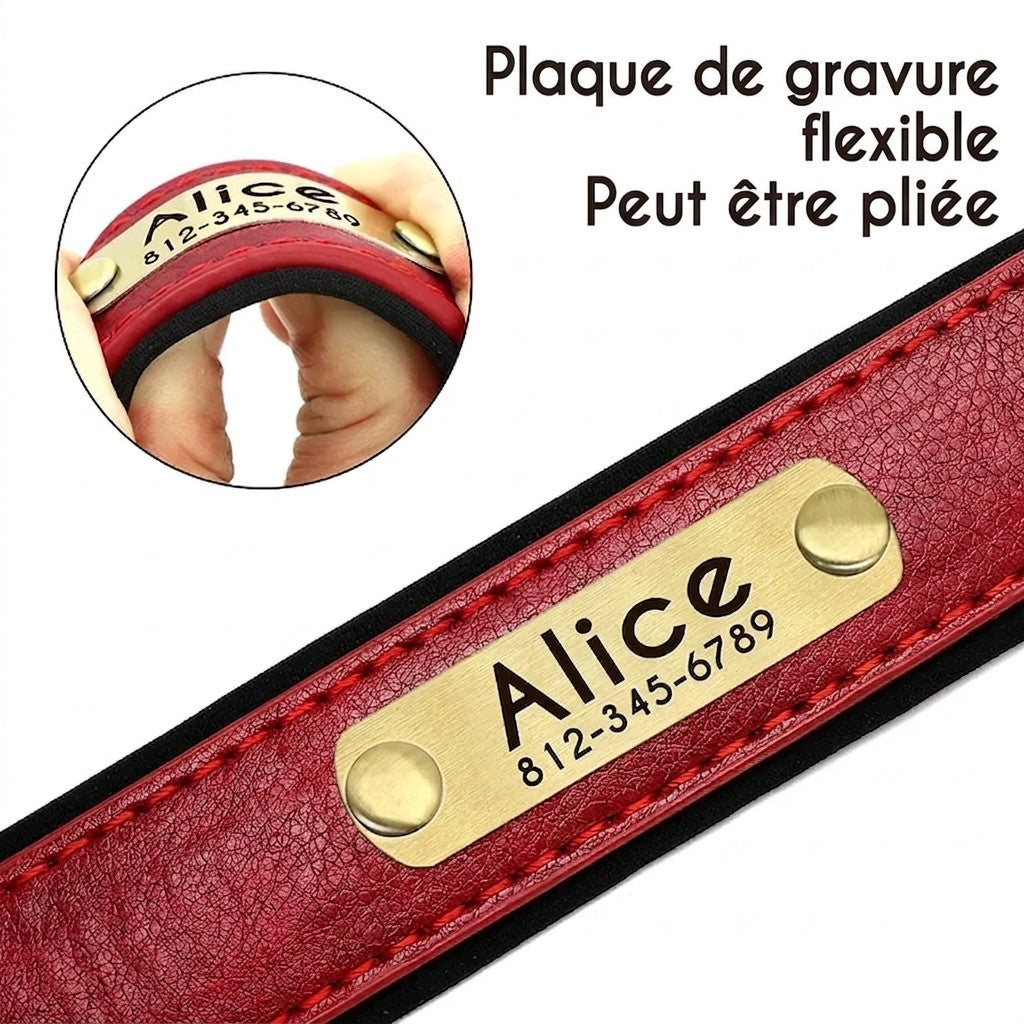Collier en Cuir PU Personnalisé pour Chien – Chic et personnalisé