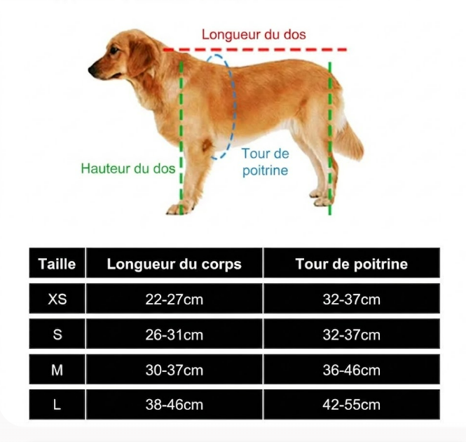 Fauteuil Roulant pour Chien – 2 ou 4 Roues, Léger et Réglable