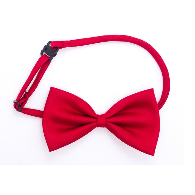 Nœud Papillon pour Chien et Chat – Classe en toutes occasions