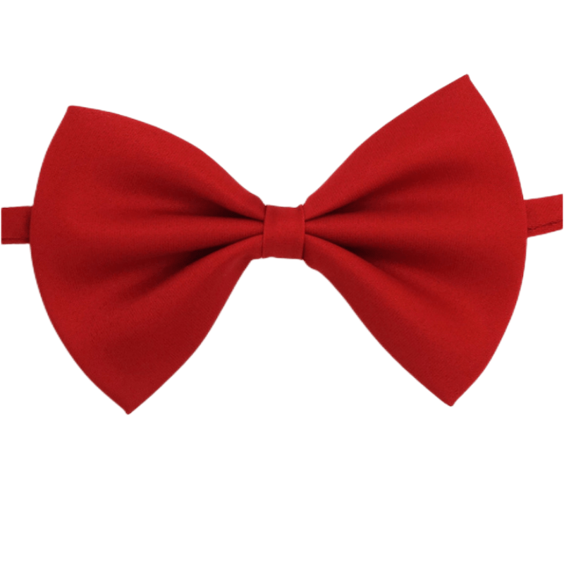 Nœud Papillon pour Chien et Chat – Classe en toutes occasions