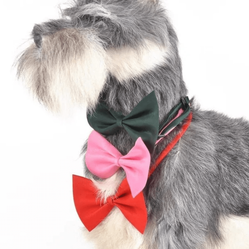 Nœud Papillon pour Chien et Chat – Classe en toutes occasions