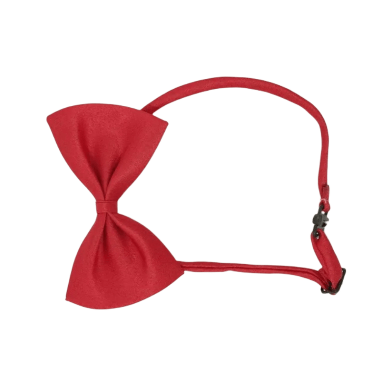 Nœud Papillon pour Chien et Chat – Classe en toutes occasions