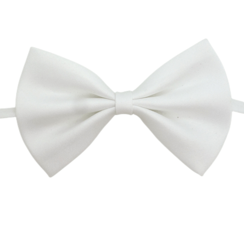 Nœud Papillon pour Chien et Chat – Classe en toutes occasions