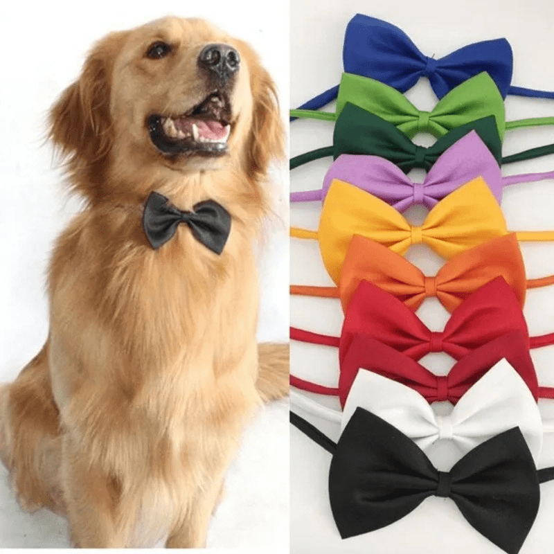 Nœud Papillon pour Chien et Chat – Classe en toutes occasions