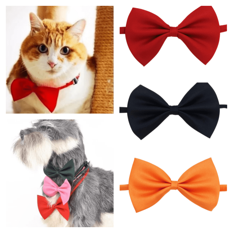 Nœud Papillon pour Chien et Chat – Classe en toutes occasions