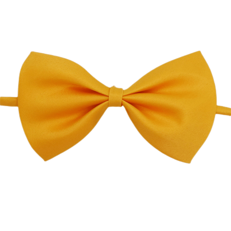 Nœud Papillon pour Chien et Chat – Classe en toutes occasions