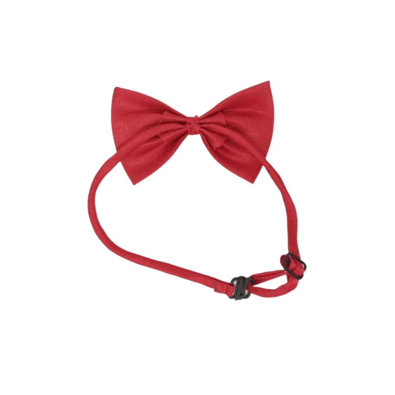 Nœud Papillon pour Chien et Chat – Classe en toutes occasions