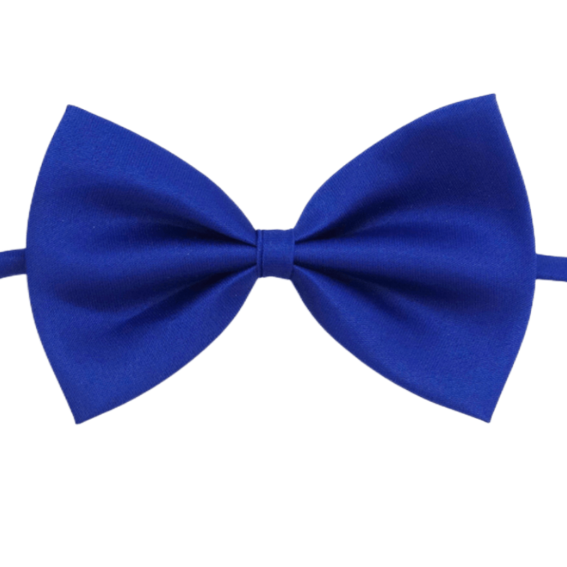 Nœud Papillon pour Chien et Chat – Classe en toutes occasions