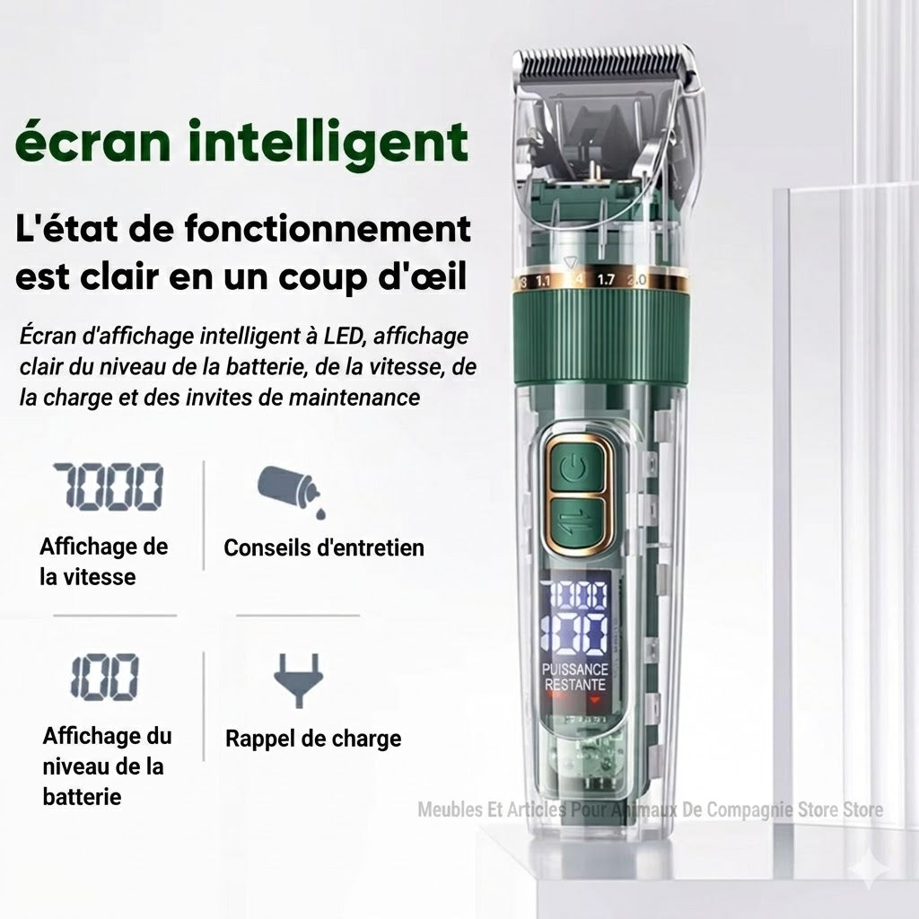 Tondeuse Silencieuse pour Chien et Chat – Toilettage maison sans stress
