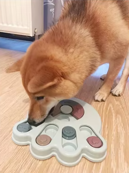 Gamelle Interactive pour Chien et Chat – Manger, c'est aussi s'amuser