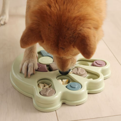 Gamelle Interactive pour Chien et Chat – Manger, c'est aussi s'amuser