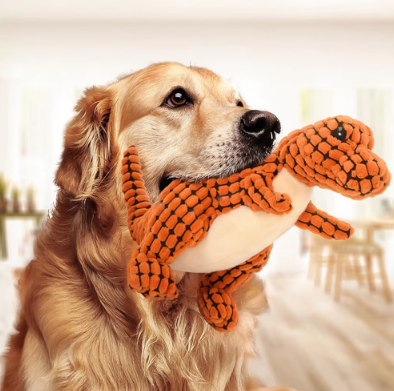 Peluche Dinosaure pour Chien – Le compagnon increvable