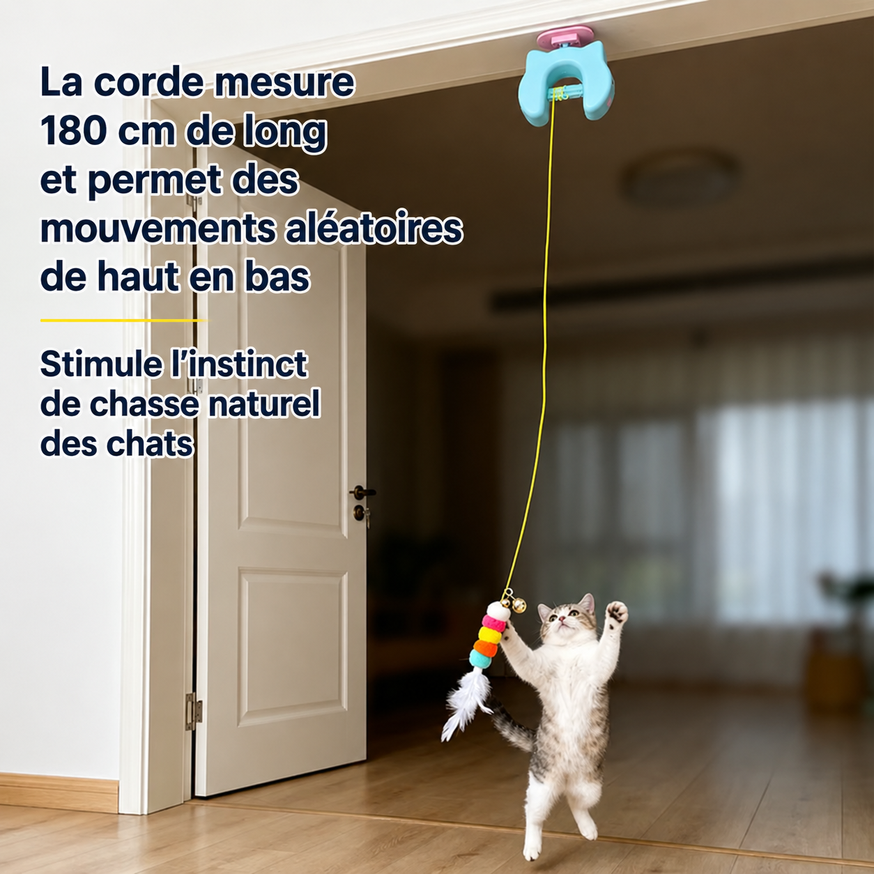 Jouet Électrique pour Chat – 2 Cordes & Plumes, Fixation Porte