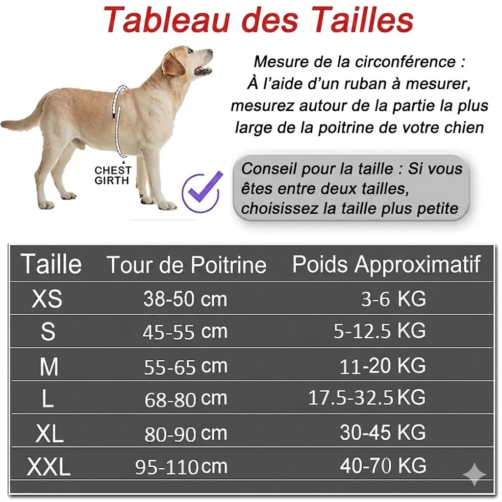 Harnais Gilet Personnalisable pour Chien – Son harnais, son identité