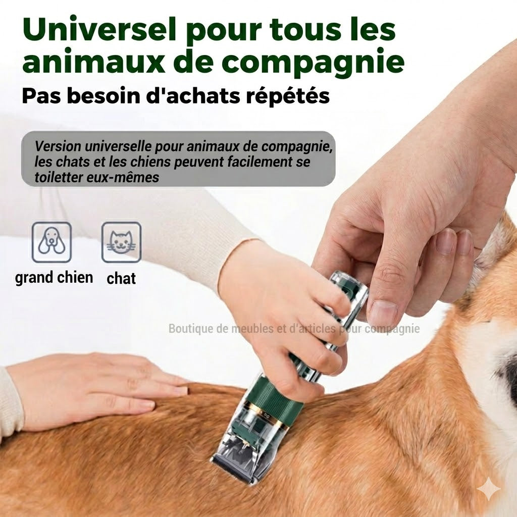 Tondeuse Silencieuse pour Chien et Chat – Toilettage maison sans stress