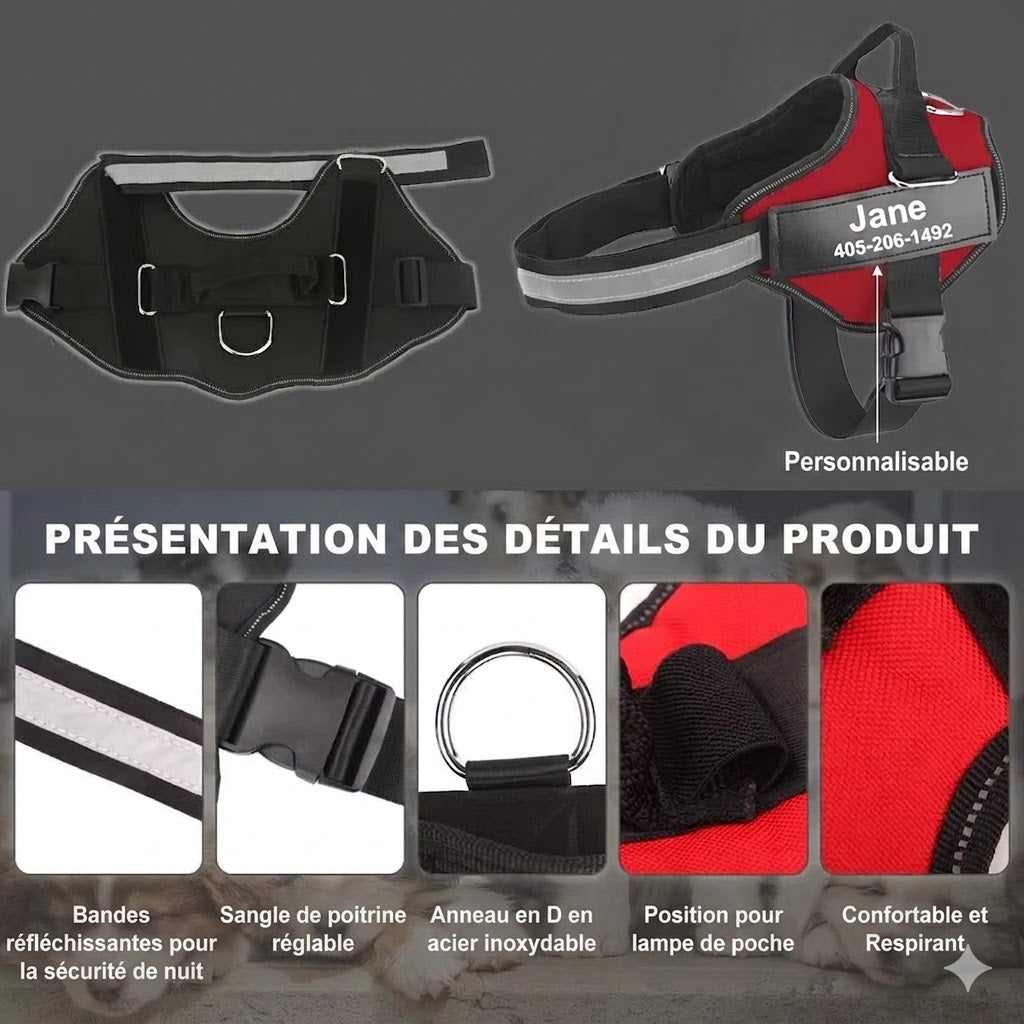 Harnais Gilet Personnalisable pour Chien – Son harnais, son identité