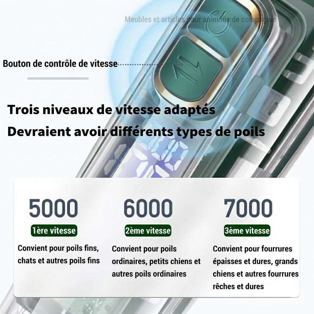 Tondeuse Silencieuse pour Chien et Chat – Toilettage maison sans stress