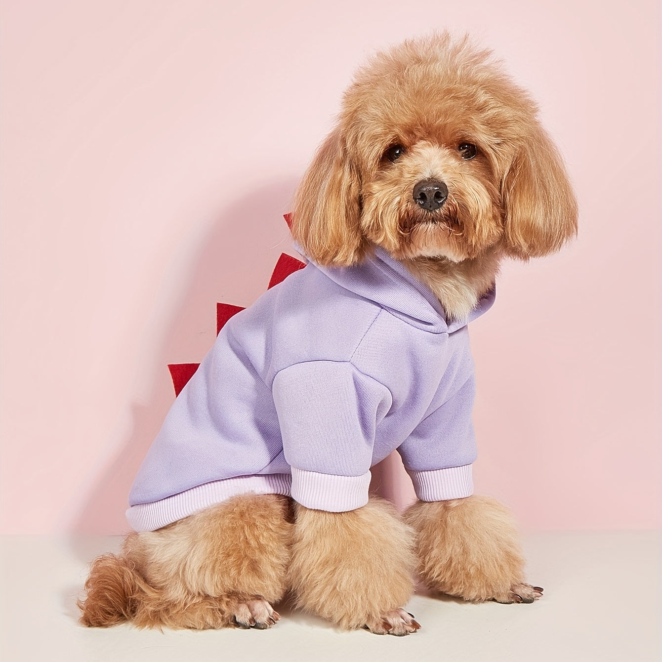 Costume Dinosaure pour Chat et Chien – Le déguisement qui fait rire
