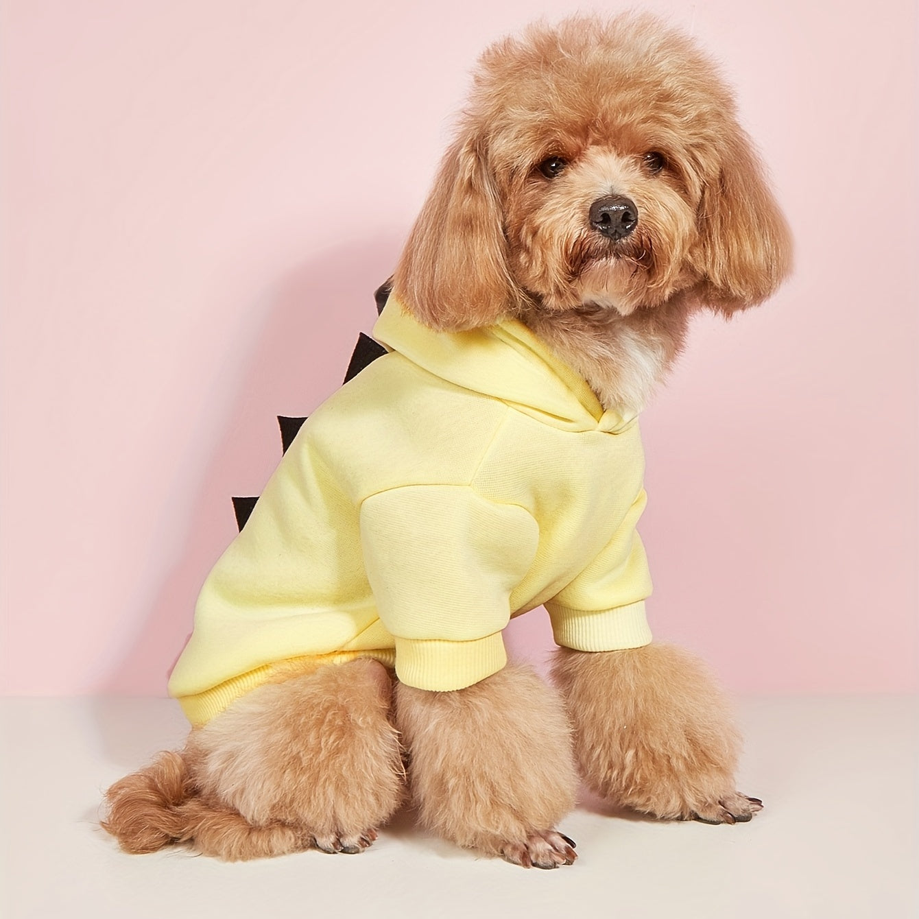 Costume Dinosaure pour Chat et Chien – Le déguisement qui fait rire