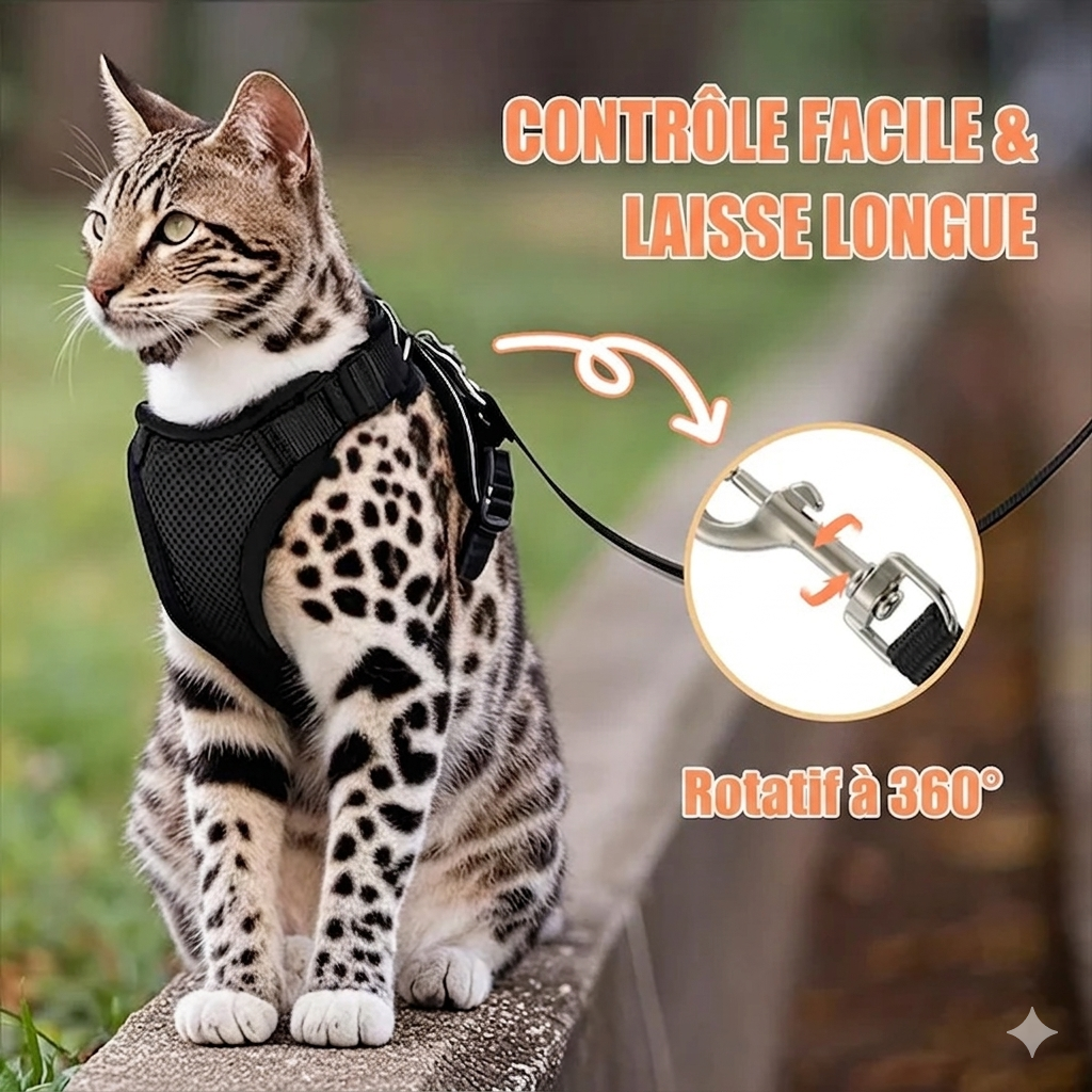 Harnais Anti-Évasion pour Chat