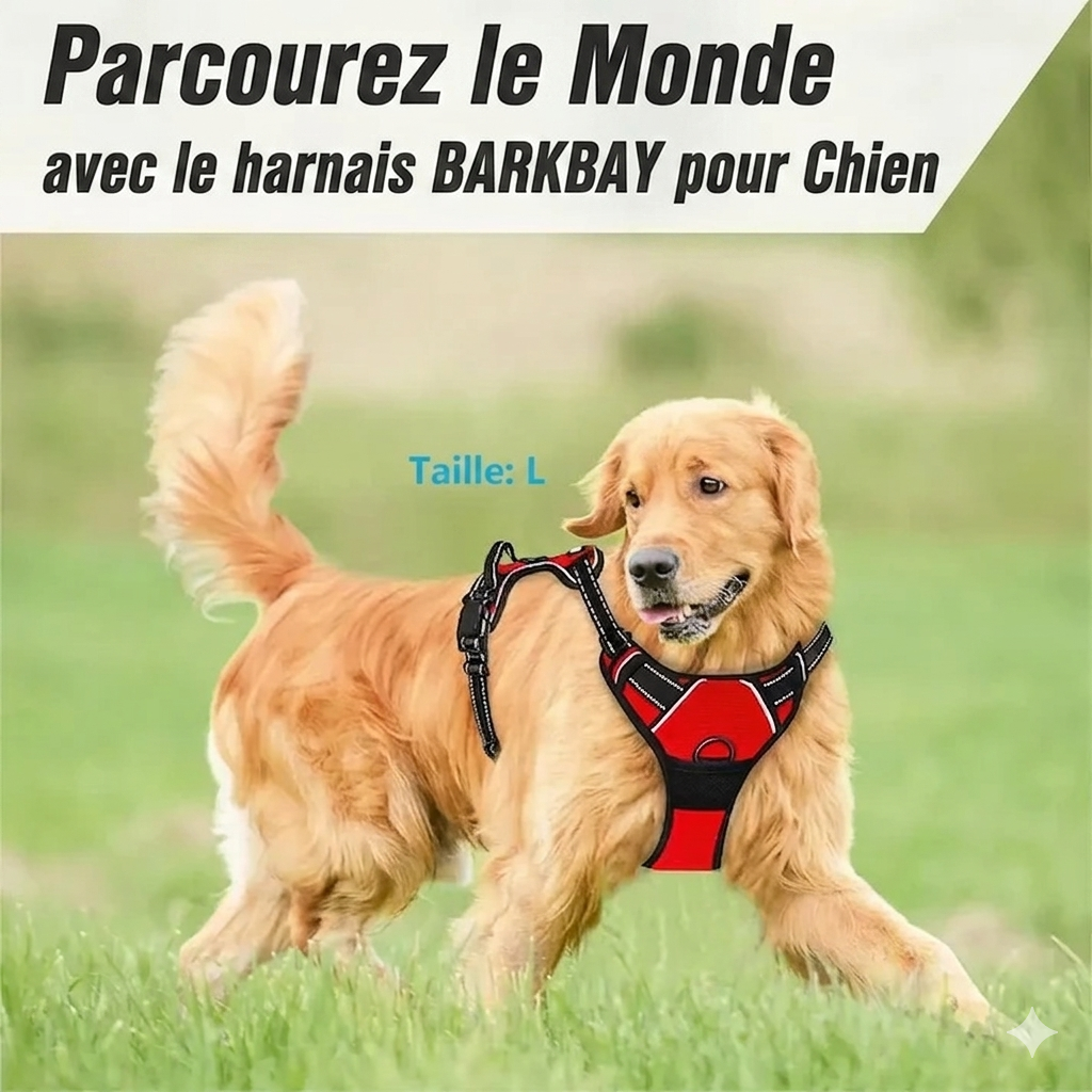 Harnais Réglable en Nylon pour Chien – Confort et liberté