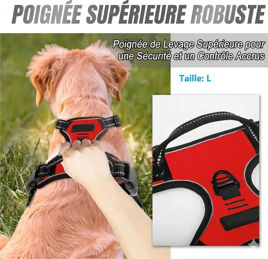 Harnais Réglable en Nylon pour Chien – Confort et liberté