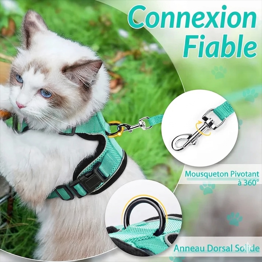 Harnais Anti-Évasion pour Chat