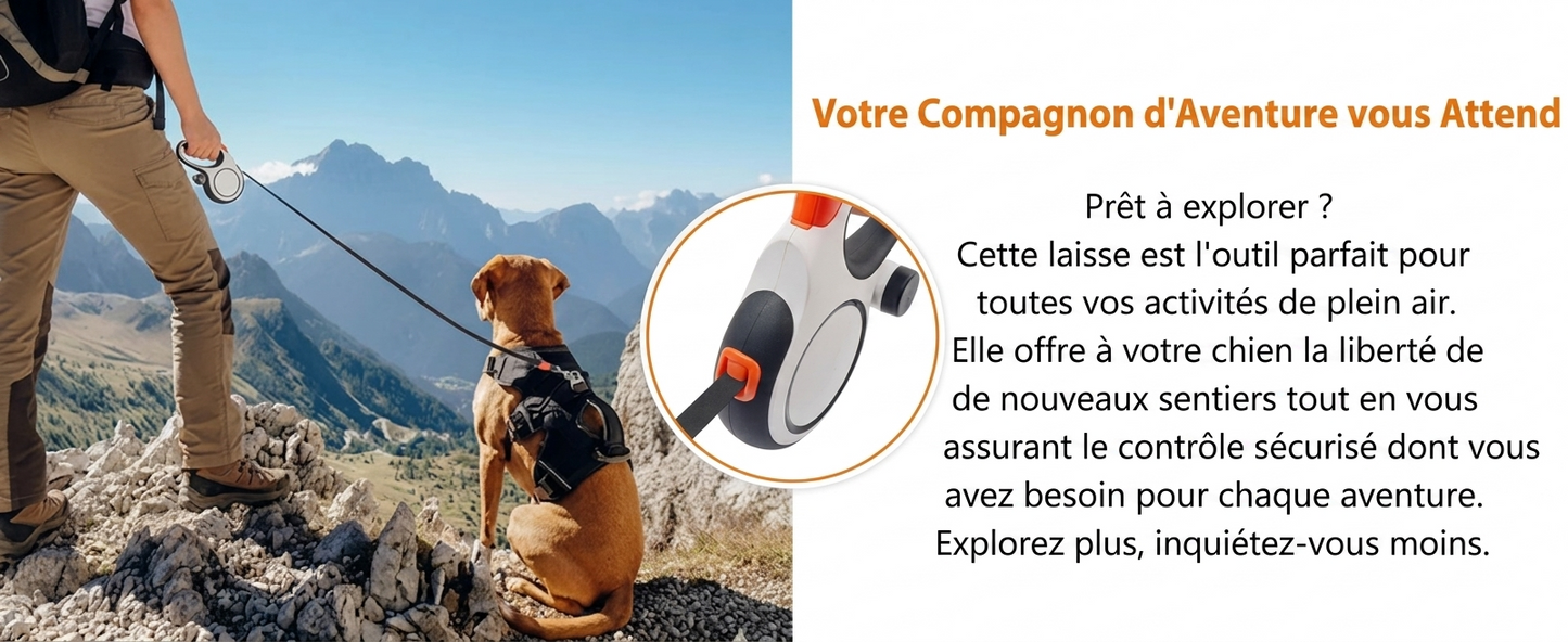 Laisse Rétractable pour Chien – La liberté sous contrôle