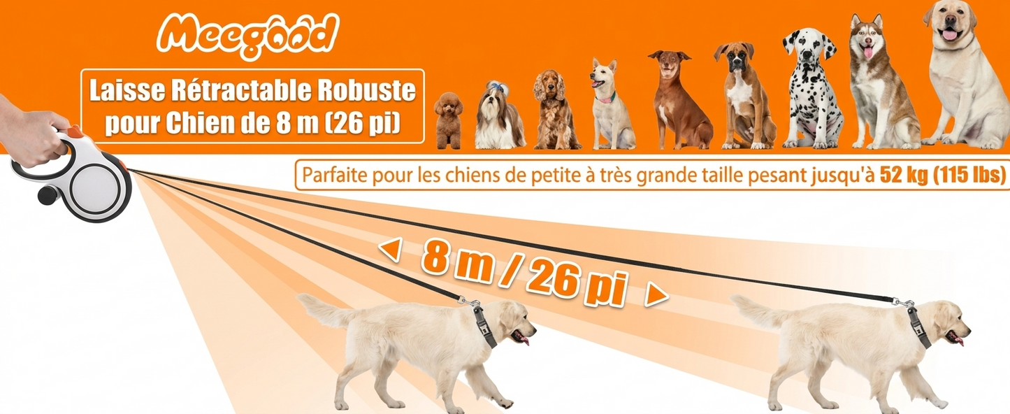 Laisse Rétractable pour Chien – La liberté sous contrôle