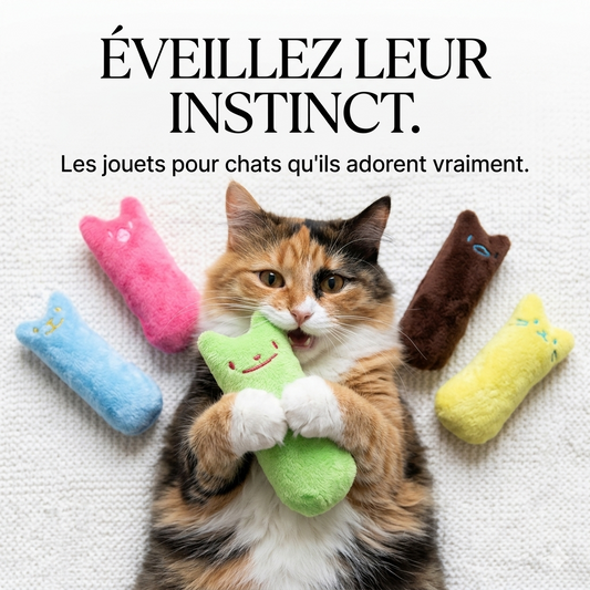 Jouet à l'Herbe à Chat pour Chaton – L'irrésistible appel de la nature