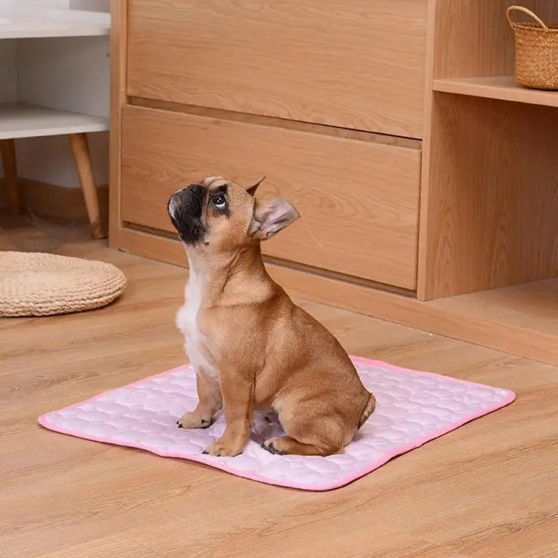 Tapis Mesh Rafraîchissant pour Chien et Chat – Bye bye la chaleur !