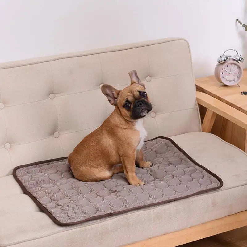Tapis Mesh Rafraîchissant pour Chien et Chat – Bye bye la chaleur !