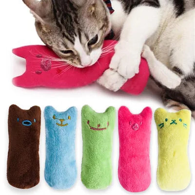 Jouet à l'Herbe à Chat pour Chaton – L'irrésistible appel de la nature
