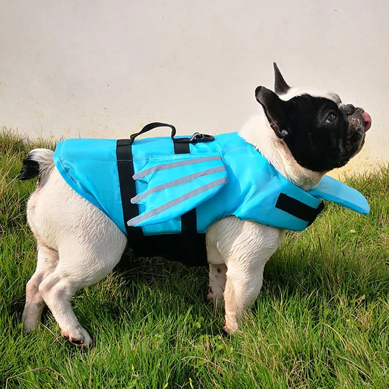 Gilet de Sauvetage d'Été pour Chien – Sécurité et Confort dans l'Eau