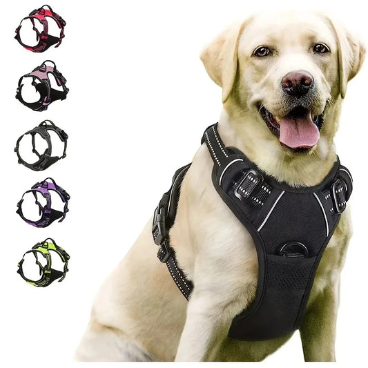 Harnais Réglable en Nylon pour Chien – Confort et liberté