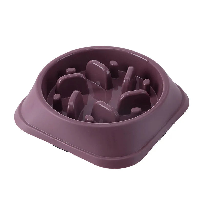 Gamelle Anti-Glouton pour Chien - Alimentation Lente et Saine