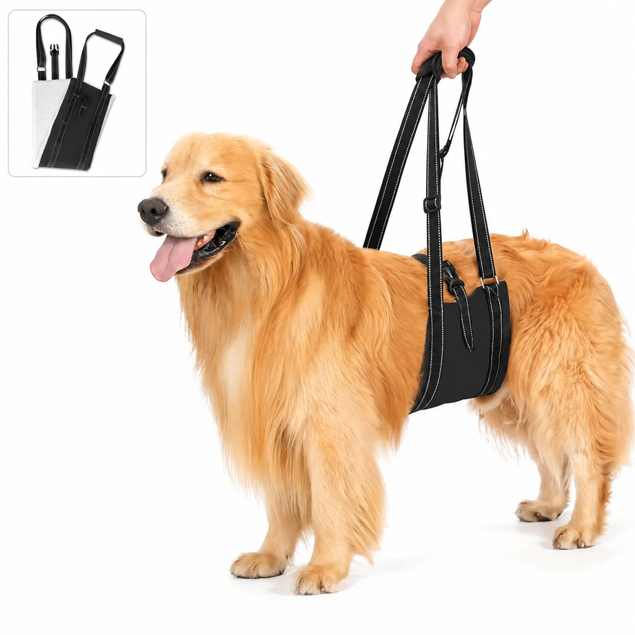 Harnais de Soutien Pattes Arrière – Aide à la Mobilité pour Chien Senior ou Convalescent