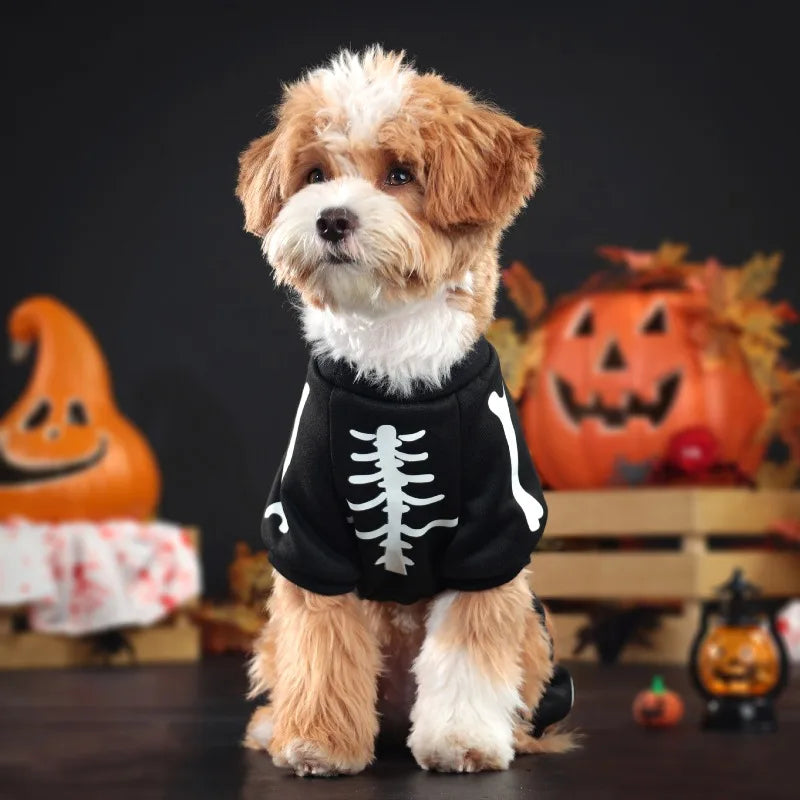 Costume Halloween pour Chien – Combinaison Squelette Phosphorescente