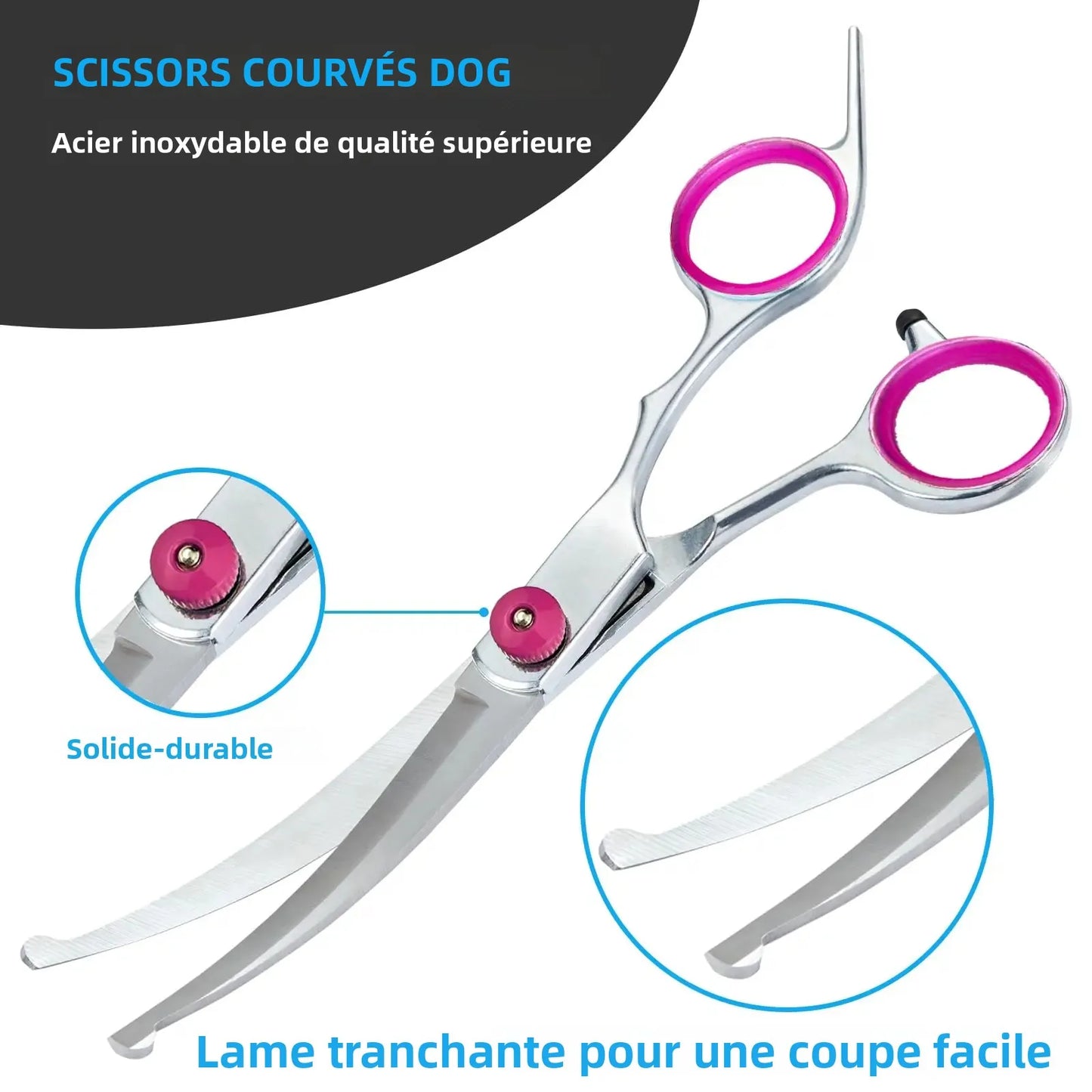 Kit Ciseaux de Toilettage 5 en 1 pour Chien et Chat – Coupe professionnelle à domicile