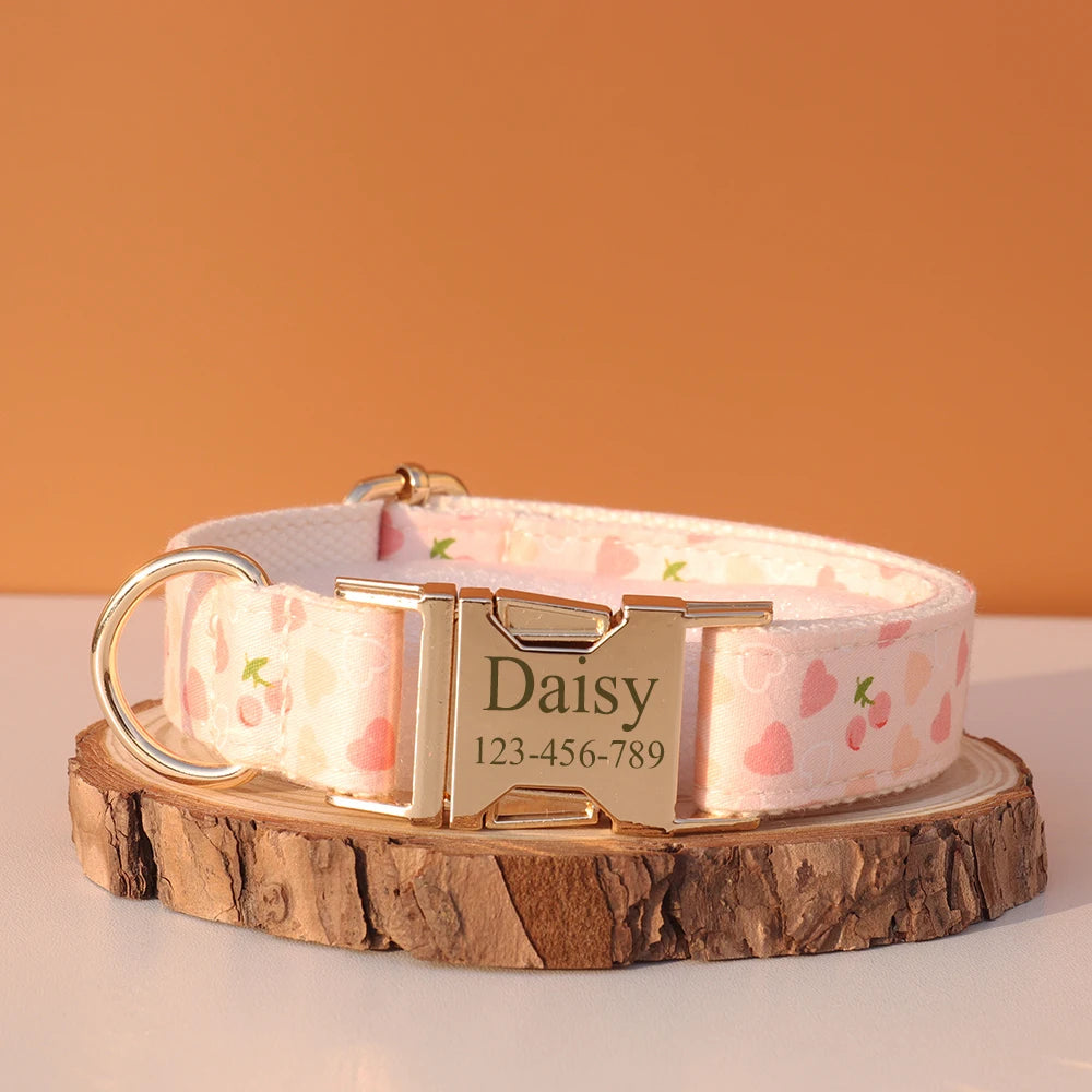 Collier Nylon Fantaisie Personnalisé pour Chien – Fun et personnalisé