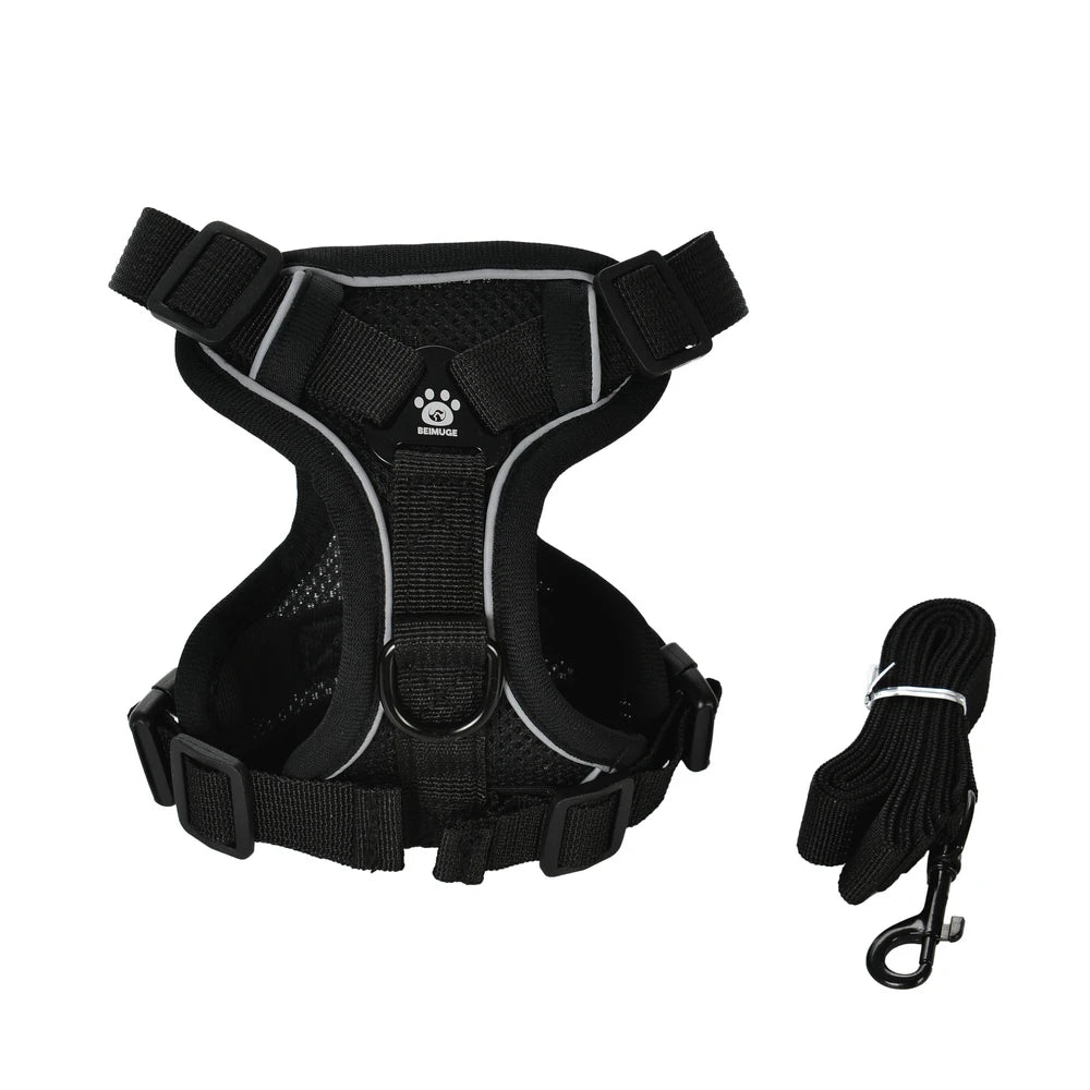 Ensemble Harnais + Laisse Réfléchissant pour Petit Chien et Chat