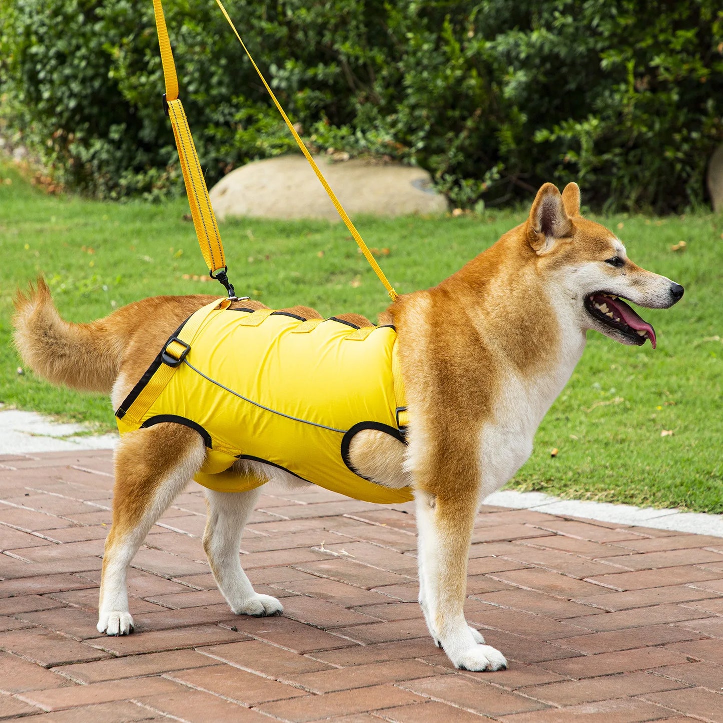 Harnais de Mobilité pour Chien – Soutien Complet 4 Pattes | Rééducation & Senior