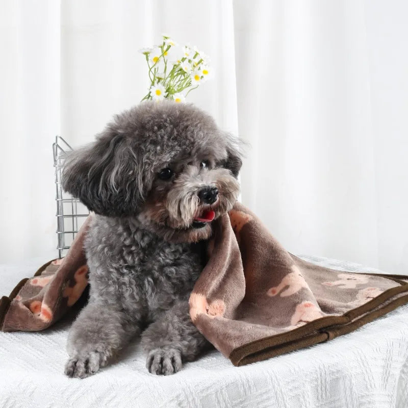 Couverture en Velours Polaire Douce Multiusage pour Chien et Chat | Chaude & Douilette | 60x40 à 100x76cm