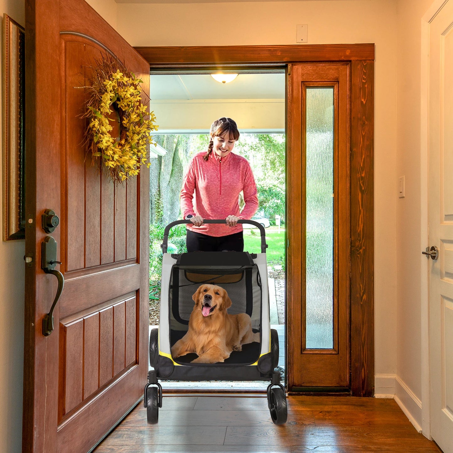Poussette Double pour Chien – Séparateur Amovible, Pliable, Jusqu'à 42 kg