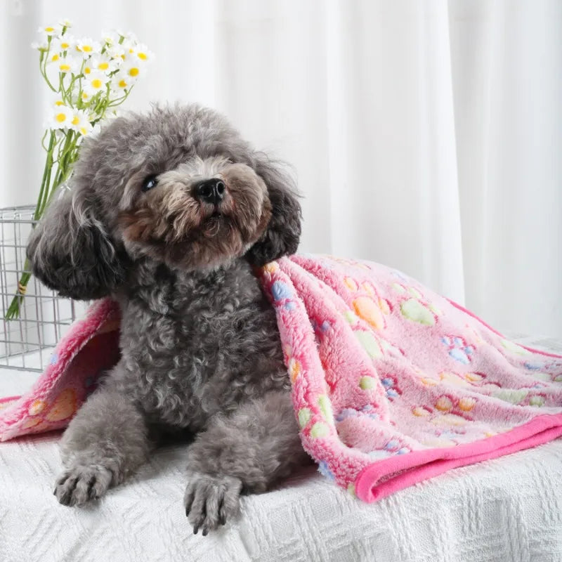 Couverture en Velours Polaire Douce Multiusage pour Chien et Chat | Chaude & Douilette | 60x40 à 100x76cm