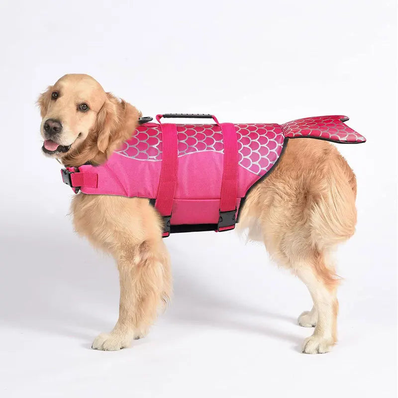 Gilet de Sauvetage Fantaisie pour Chien – Requin ou Sirène 🦈🧜‍♀️