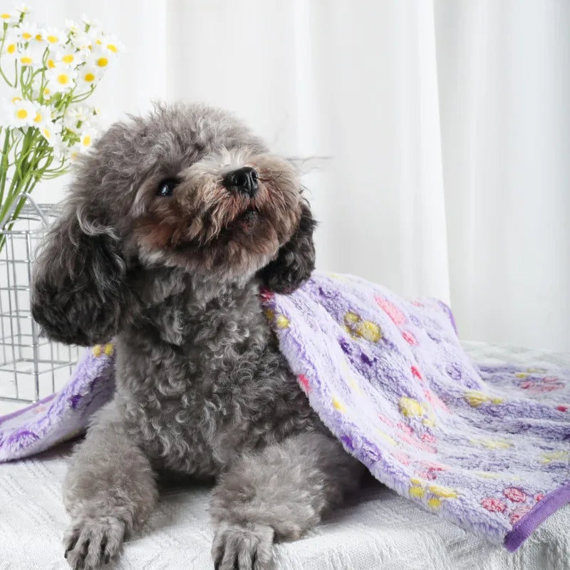 Couverture en Velours Polaire Douce Multiusage pour Chien et Chat | Chaude & Douilette | 60x40 à 100x76cm