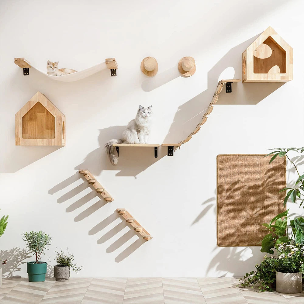 Parcours Mural pour Chat – Son terrain de jeu vertical
