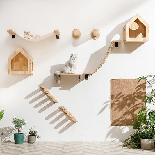Parcours Mural pour Chat – Son terrain de jeu vertical